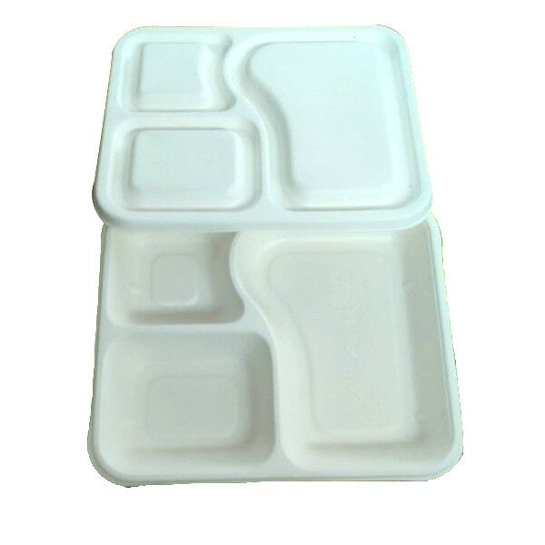 3cp Tray Bagasse