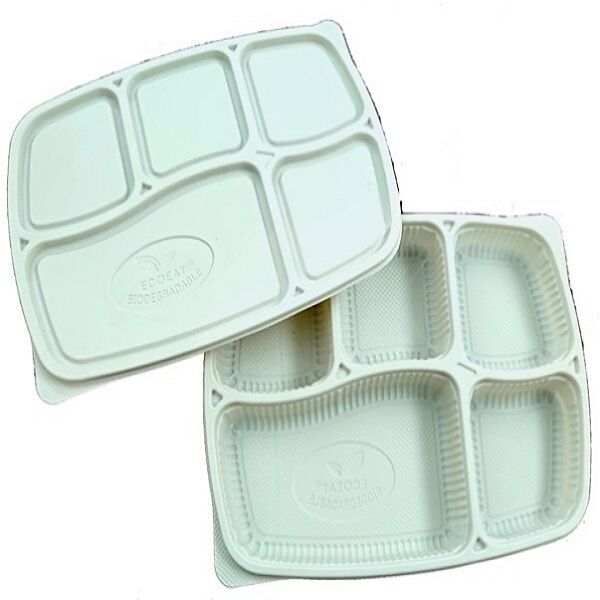 eco eat 5 cp (1)