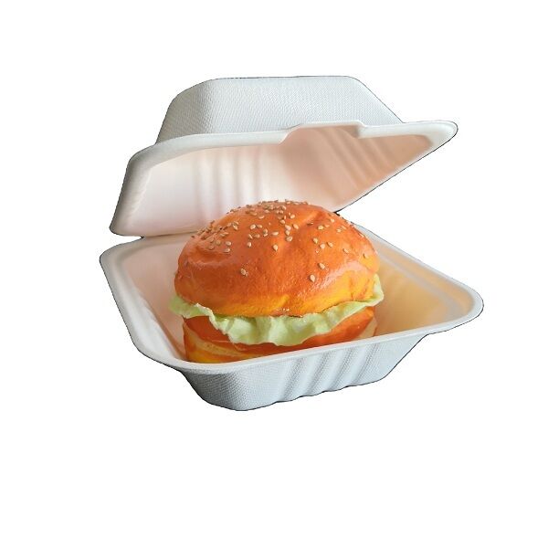 burger box bagasse