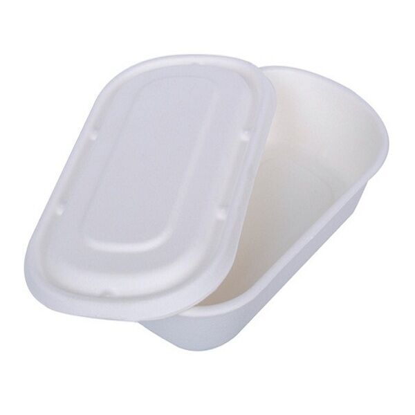 500ml oval container bagasse