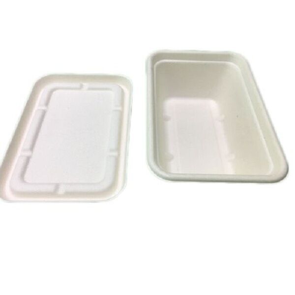 650ml-sugarcane-pulp-meal-box-500x500