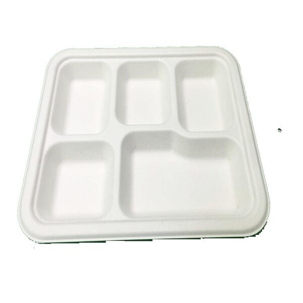 shallow 5cp tray bagasse