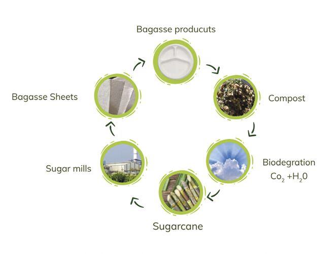 Biodegradable Packaging Suppliers in India | Cosmos Eco Friends