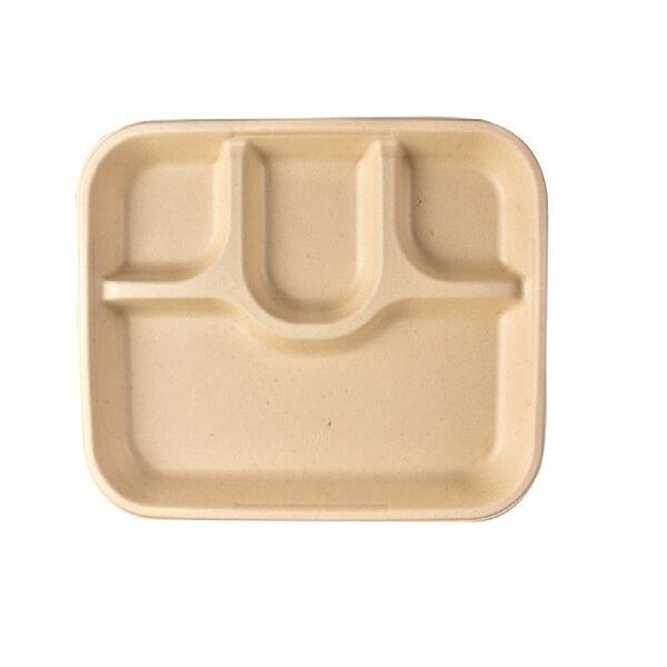 4 CP TRAY BAGASSE CHUK