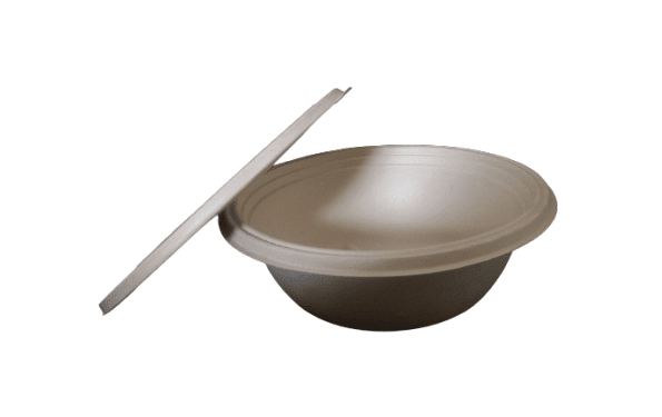 20250516_162220-removebg-preview